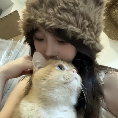 美人与流血事件 封面